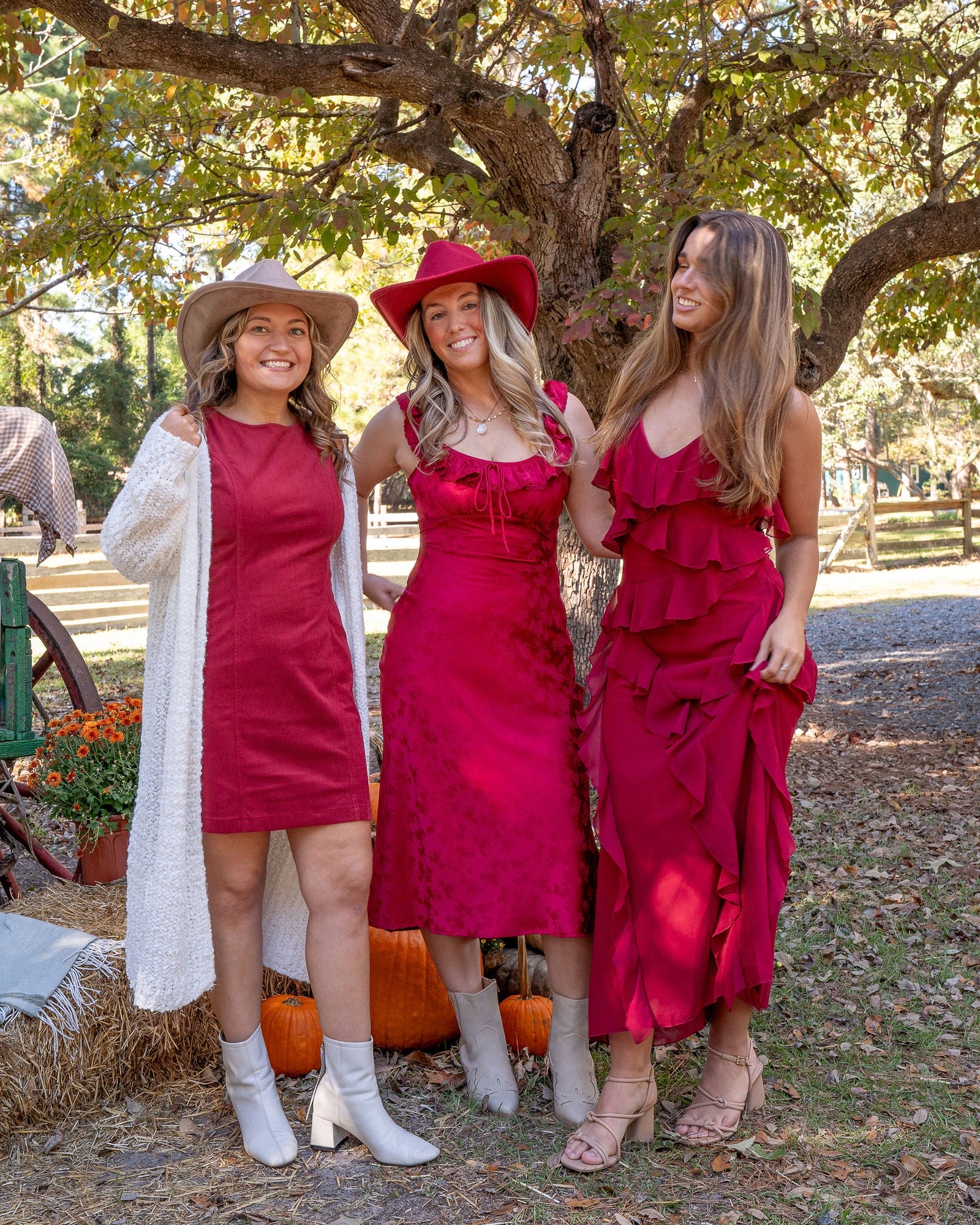 Autumn Harvest Collection