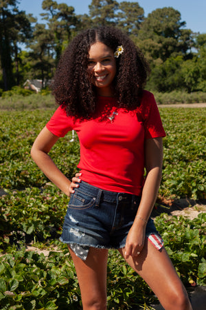 PARTY IN THE USA TOP
