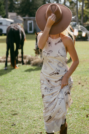 CHEYENNE DRESS
