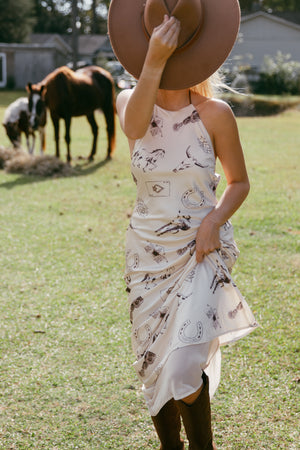 CHEYENNE DRESS