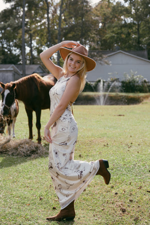 CHEYENNE DRESS